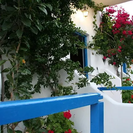 Oasis